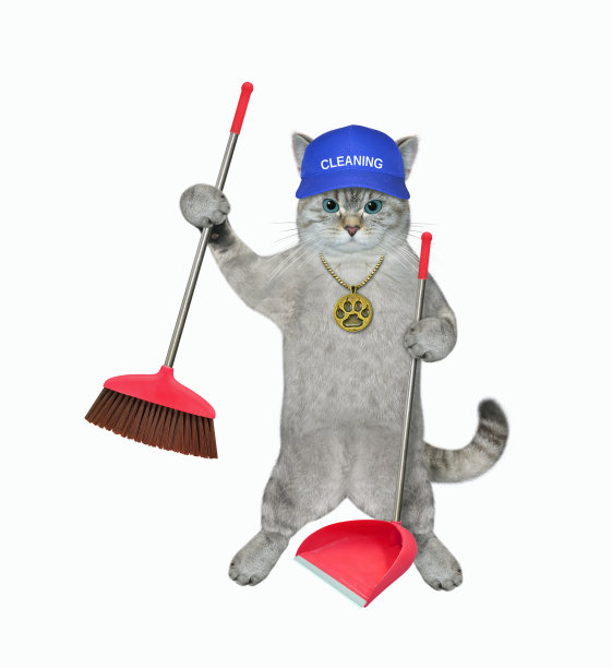 灰猫拿着簸箕和扫帚图片下载