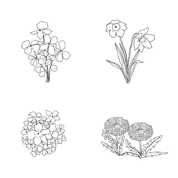 线描春花插图图片下载