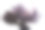 柔和的粉红色桃花在春天盛开图片下载