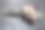 皮革和丝绸胸针作为玫瑰花关闭图片下载