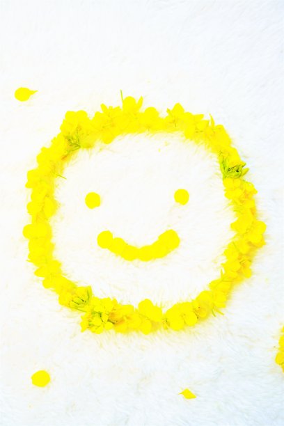 白色背景上的黄色油菜花做成的笑脸，垂直的图片下载