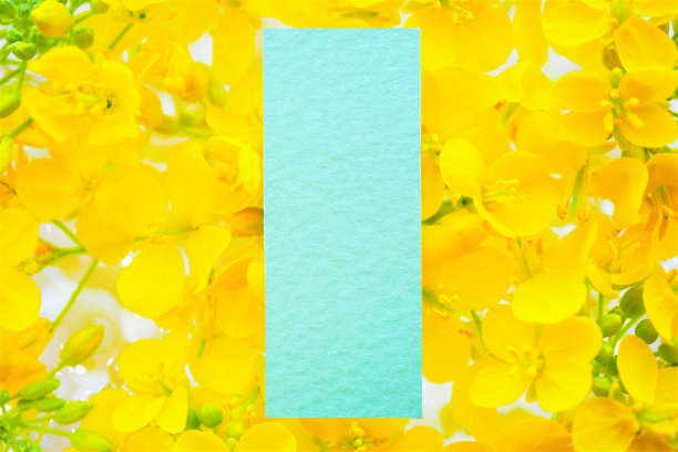 一个长长的绿色评论空间的模型，装饰着漂浮的黄色油菜花图片下载