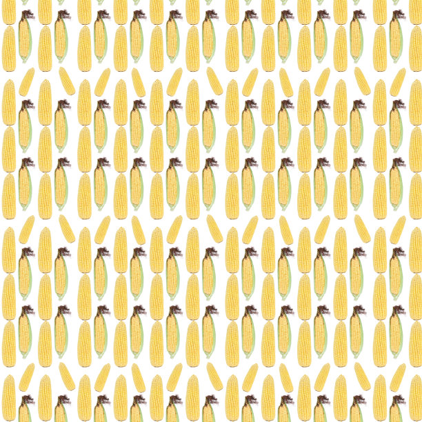 食物图案：新鲜黄色玉米图片下载