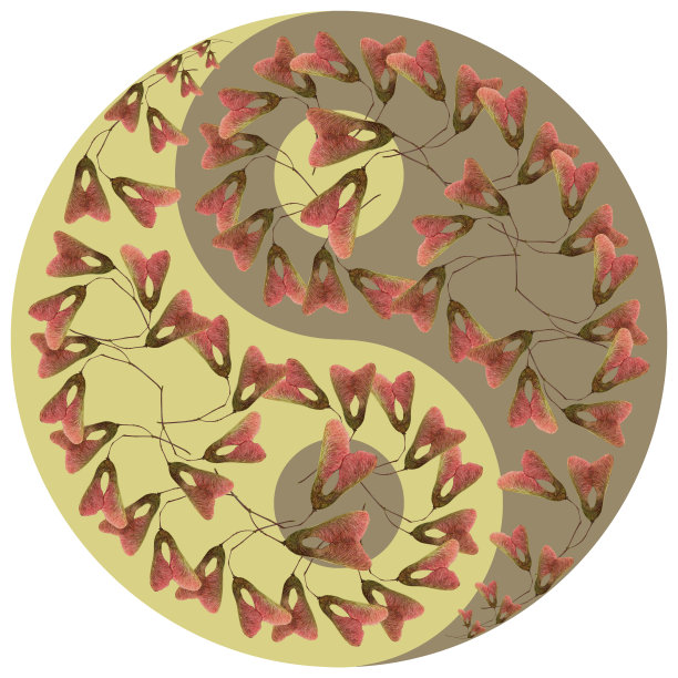 花象征阴阳。枫叶。阴阳符号几何图案，由植物在彩色背景上形成东方风格。阴阳象征由花、花瓣而来。曼荼罗的花插图图片下载