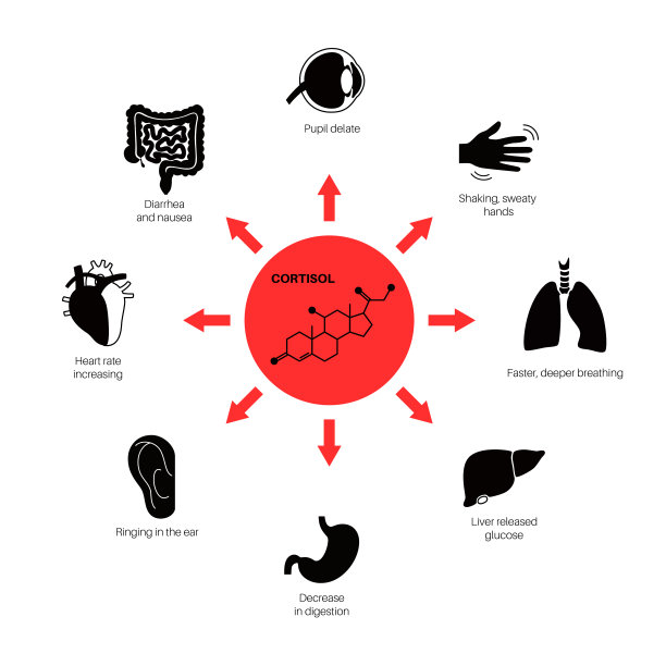 压力反应系统图片下载
