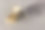 幽灵蟹的特写照片与两个金婚戒指在马尔代夫海滩的白沙图片下载