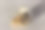 幽灵蟹的特写照片与两个金婚戒指在马尔代夫海滩的白沙图片下载