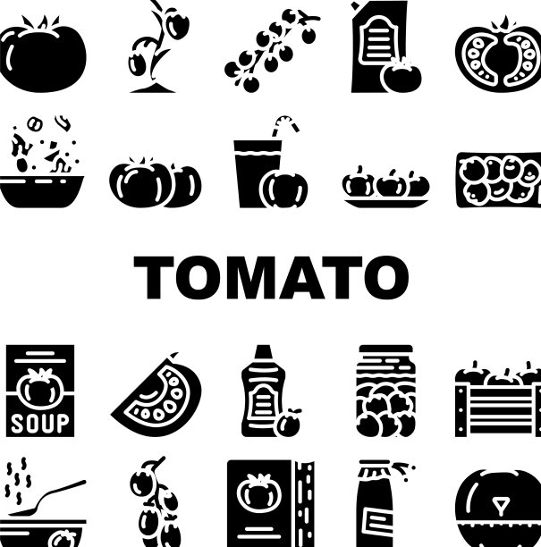 番茄天然生物成分图标集图片下载