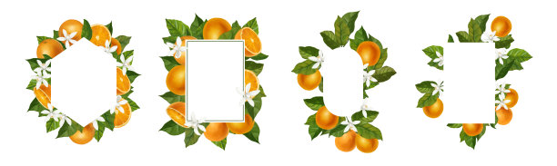 水彩边框上有柑橘类水果。图片下载