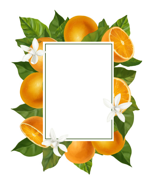 水彩边框上有柑橘类水果。图片下载