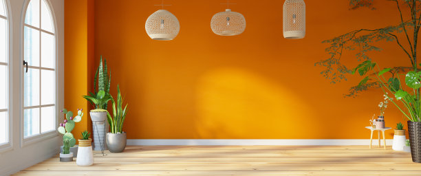 没有家具的亮橙色房间，有植物图片下载