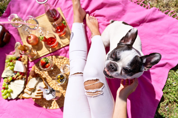 在春天的公园里，一个无法辨认的女人带着一只狗在野餐毯子上。图片下载