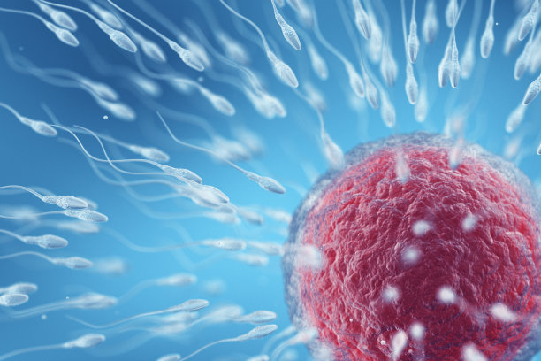 人类的生育能力图片下载