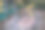 用刷子对地毯进行化学清洗。图片下载