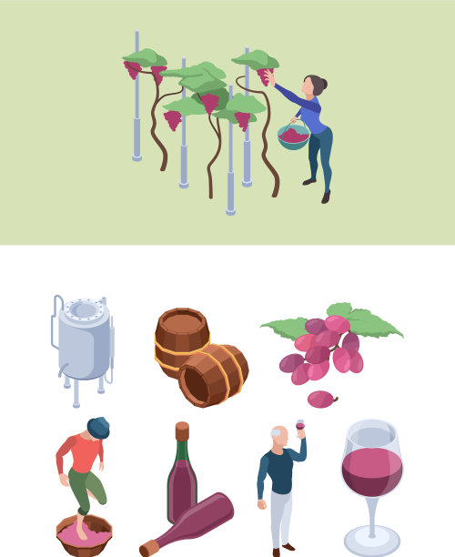 生产葡萄酒的葡萄园工人在酿酒厂工作图片下载