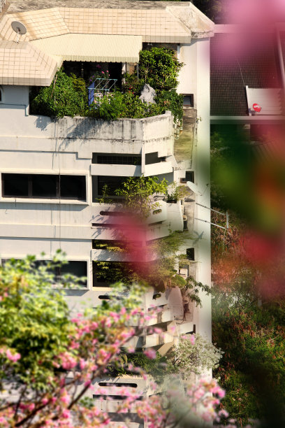 用植物封闭住宅楼图片下载