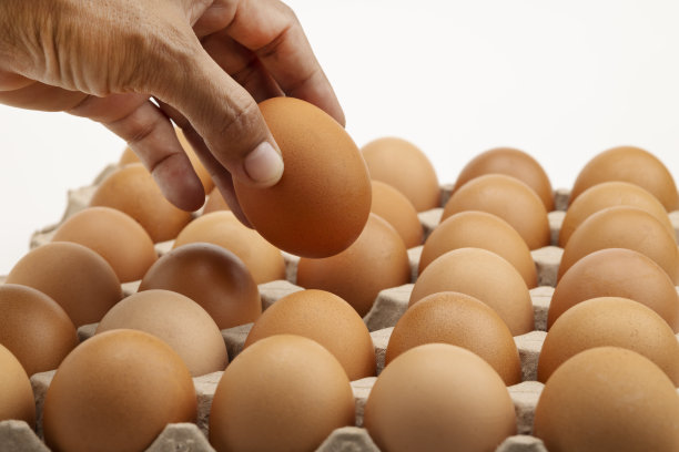 一只手从白色背景的纸盘上拿起一个新鲜的鸡蛋图片下载