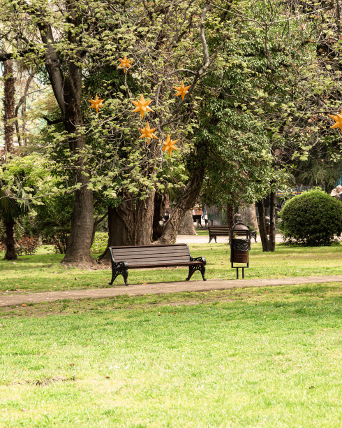 在格林公园购物。地球日，俄罗斯自然，索契植物园，绿色公园空间为文本垂直照片图片下载