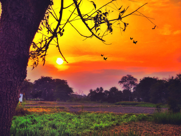 绘画日落视图图片下载