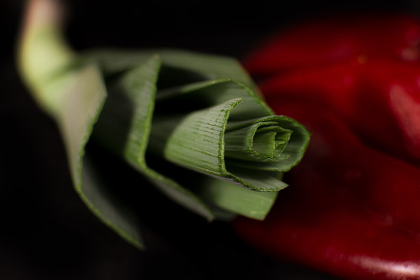 黑色背景上的青葱。图片下载