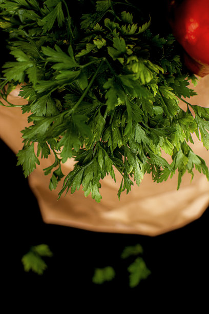 带新鲜蔬菜的纸袋。韭葱，红甜椒，欧芹放在一个黑色背景的纸袋里。图片下载