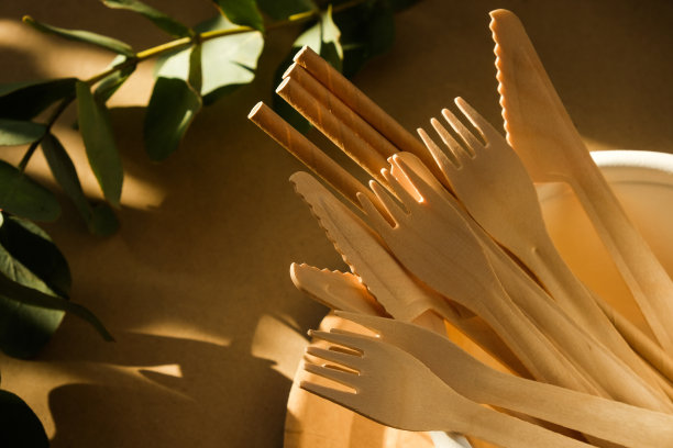 环保旅游餐具。一次性木制刀叉图片下载