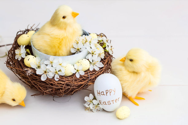 金色，黄色，白色的蛋在一个鸟巢，樱花树枝和可爱的黄色小鸡在白色的木制背景。最小的概念。2022年复活节卡片上有副本的地方供文字。图片下载