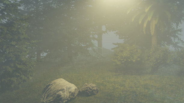 油灯夜草地-深夜的野生森林图片下载