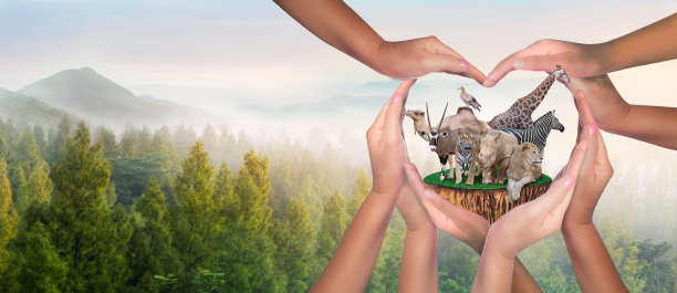 野生动物保护。这是一群形形色色的人，他们齐心协力，齐心协力，共同保护环境。促进野生动物保护。图片下载