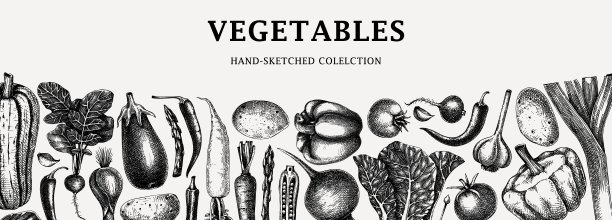 手绘蔬菜横幅设计图片下载