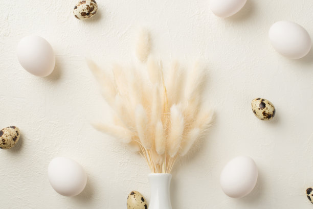 复活节装饰白色陶瓷花瓶与拉格鲁斯花在中间和复活节蛋孤立的白色背景俯视图照片图片下载