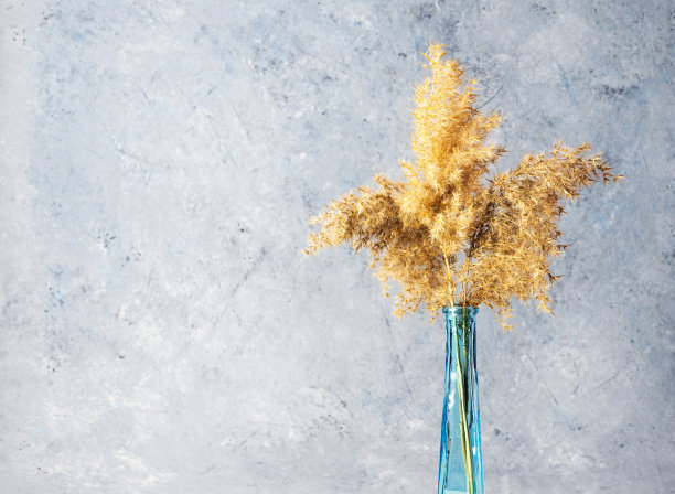 蓝色花瓶里的干花。图片下载