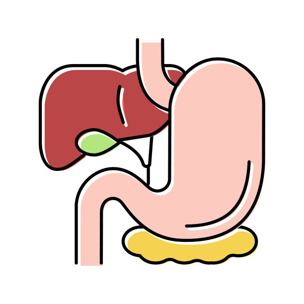 胃肠道彩色图标矢量插图图片下载