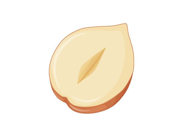 榛子。坚果的外壳。健康的素食。图片下载