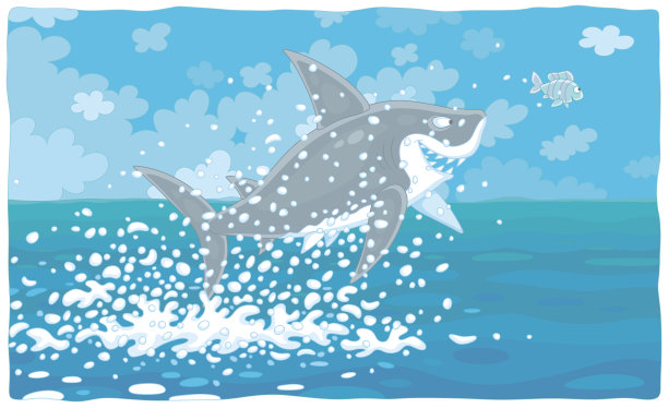 大白鲨和一条小鱼在跳图片下载