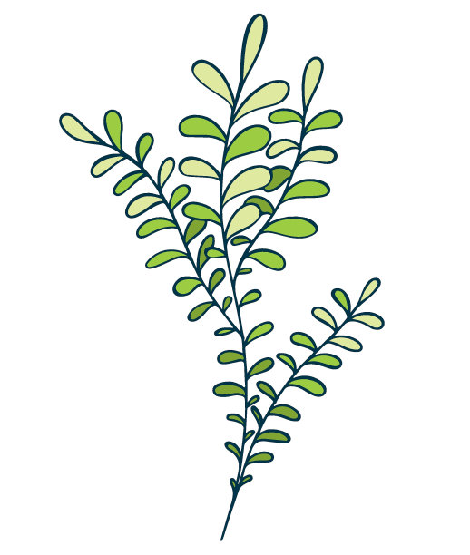 ÐÐµNÐ°NN图片下载