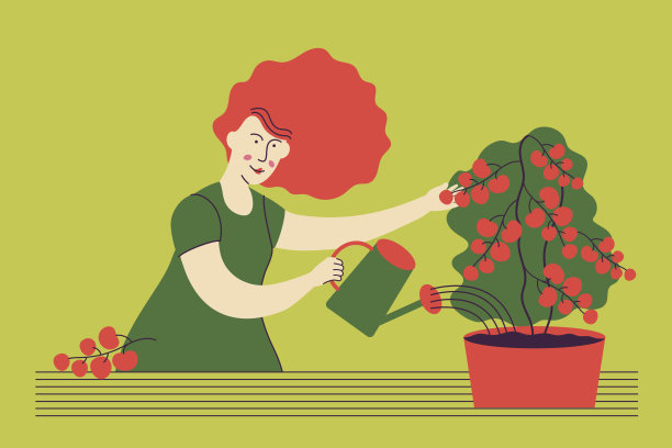 在家里或阳台上种西红柿并浇水的女人。城市园艺插图。图片下载