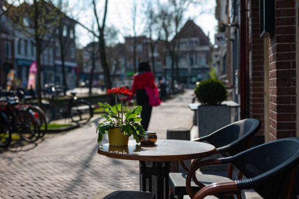 孤零零的空阳台桌子，上面放着一朵红花，等待着早春时节的顾客光临图片下载