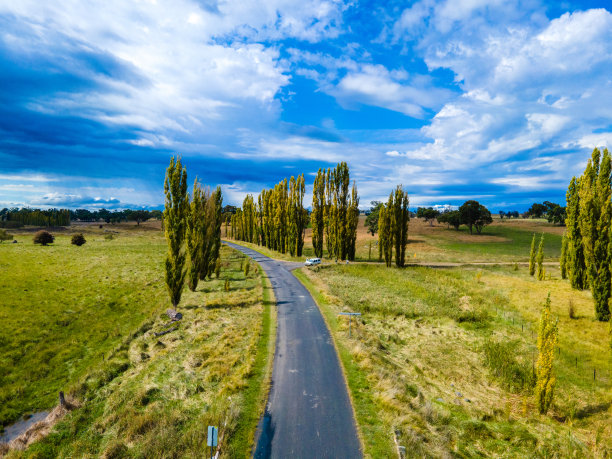 惠灵顿谷，新南威尔士州，澳大利亚图片下载