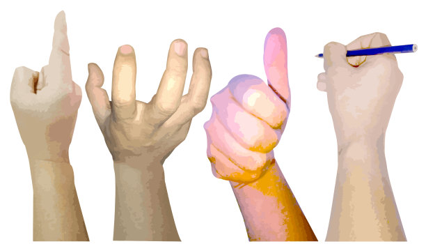 的手。表明立场。孤立在白色上的东西。说明现代向量。图片下载