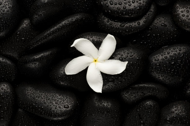 黑色的天然石头被雨滴覆盖，显示出纹理和图案形成图片下载