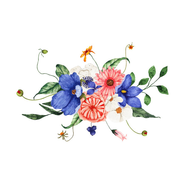 水彩夏季野生花束与绿色植物叶子孤立在白色背景。花春天花插画婚礼邀请保存日期卡图片下载