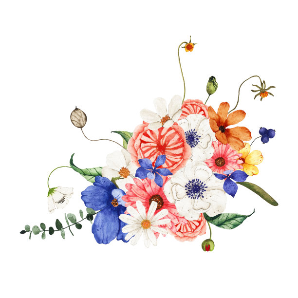 水彩夏季野生花束与绿色植物叶子孤立在白色背景。花春天花插画婚礼邀请保存日期卡图片下载