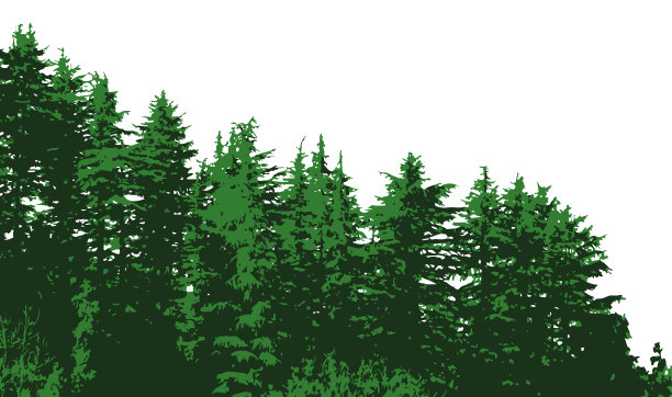 在白色背景上孤立的绿色木材林地森林图片下载