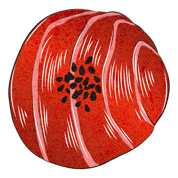 寿司设置颜色图片下载