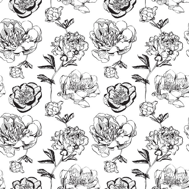 手绘黑色墨水花图案。亚洲风格的牡丹。图片下载