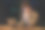 紧张的千禧一代白人商人考虑解决问题。图片下载