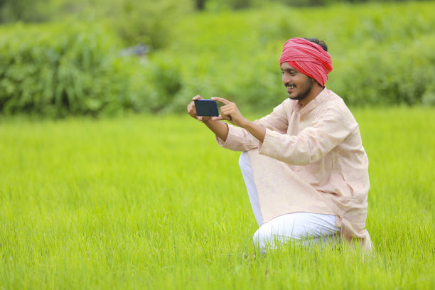 印度农民在农业领域使用智能手机。图片下载