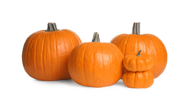 漂亮成熟的橙色南瓜在白色的背景上图片下载