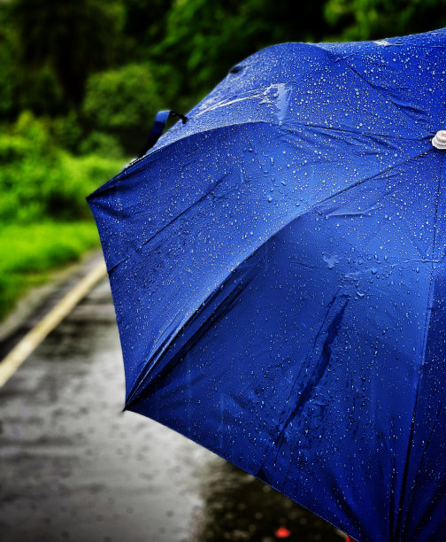 雨图片下载